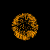 animated fireworks