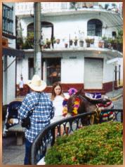 Girl with colorful donkey.