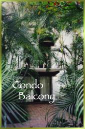 Condo balcony