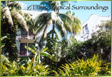 Lush Tropical Surroundings