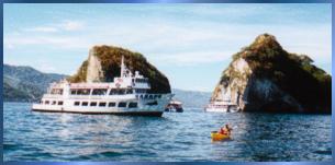 Sarape of Princesa Cruises