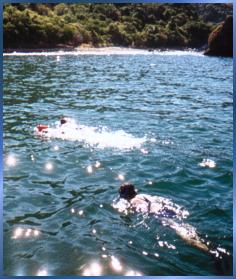 Snorklers in Banderas Bay.