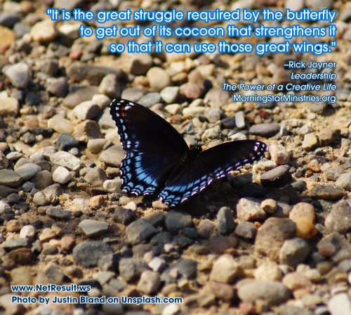 Its the great struggle required by the butterfly to get out of its cocoon that strengthens it so that it can use those great wings. --Rick Joyner