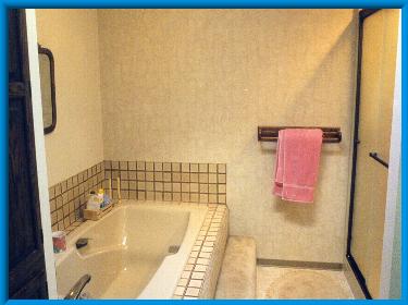 18KB JPEG Garden tub in master bath.