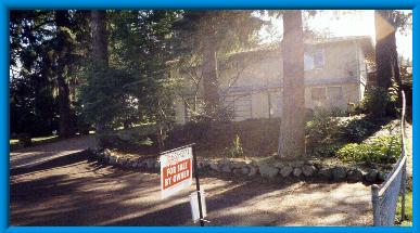 22KB JPEG View of home nestled among Douglas Fir trees.