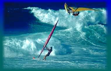 windsurfers
