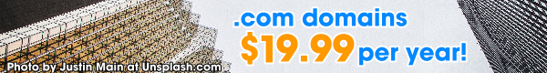dot-com domains $19.99 per year